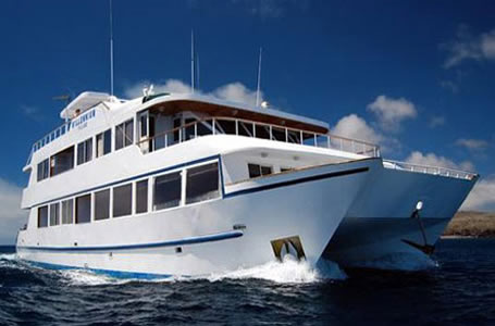Yate Millenium